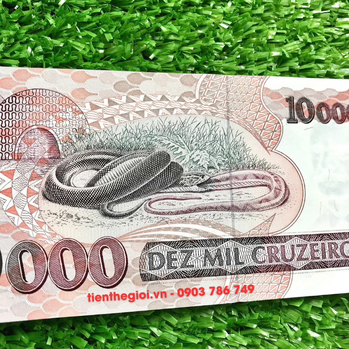 Tiền hình Con Rắn Brasil 10.000 Cruzeiros